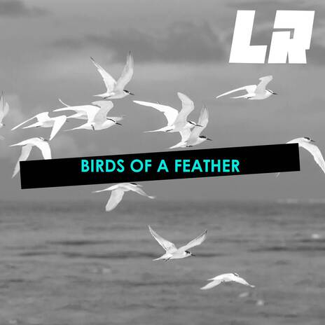 BIRDS OF A FEATHER (HOUSE MIX) | Boomplay Music