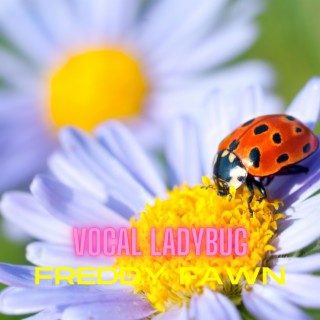 Vocal Ladybug