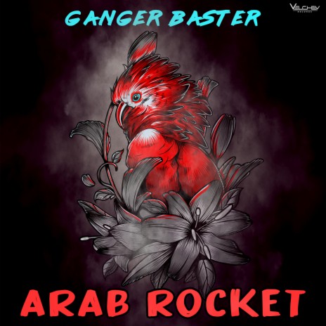 Arab Rocket | Boomplay Music