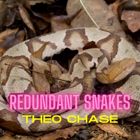 Redundant Snakes | Boomplay Music