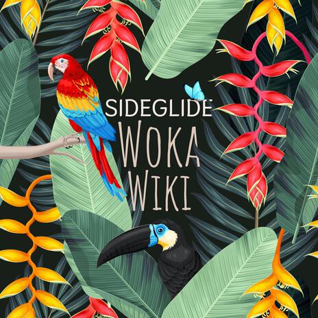 Woka Wiki | Boomplay Music