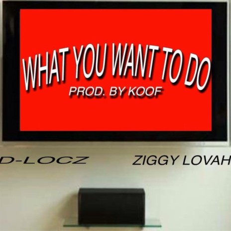 What You Wanna Do (feat. Ziggy Lovah) | Boomplay Music