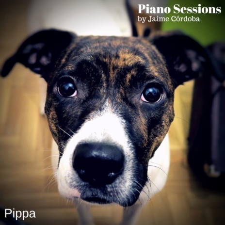 Pippa | Boomplay Music