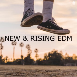 New & Rising EDM