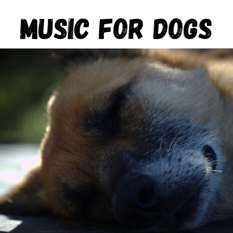 Doggy Lullaby ft. Music For Dogs Peace, Relaxing Puppy Music & Calm Pets Music Academy | Boomplay Music