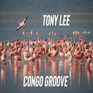 Congo Groove