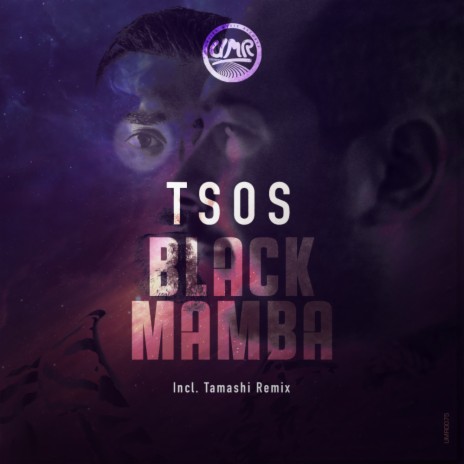 Black Mamba (Tamashi Spirit Of Africa Instrumental Remix) | Boomplay Music