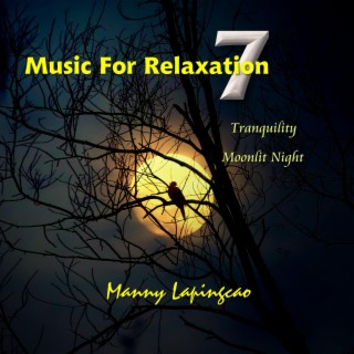 Music For Relaxation 7