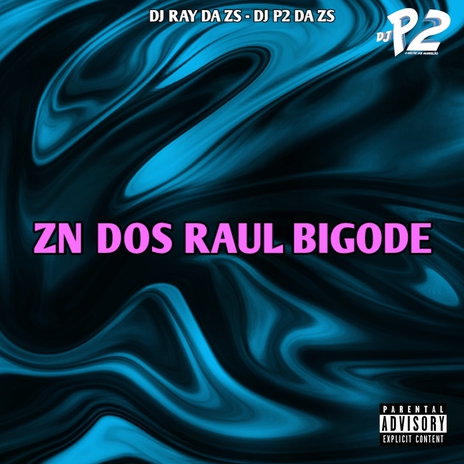 ZN DOS RAUL BIGODE ft. DJ RAY DA ZS | Boomplay Music