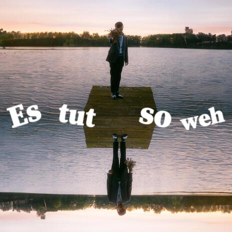 Es tut so weh | Boomplay Music