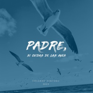 Padre, si cuidas de las aves