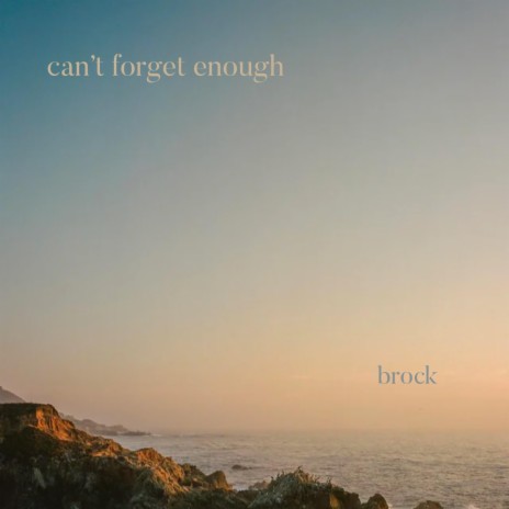 can't forget enough | Boomplay Music
