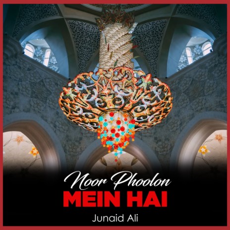 Noor Phoolon Mein Hai | Boomplay Music