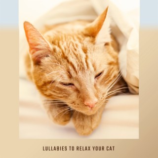 Lullabies to Relax Your Cat - Relieve Anxiety, Deep Relaxation, Puppy Sleep Music