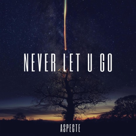 Never Let U Go | Boomplay Music