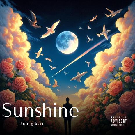 Sunshine | Boomplay Music