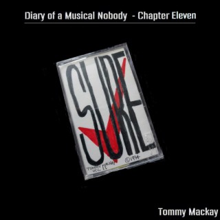 Sure - Diary Of A Musical Nobody Chapter 11