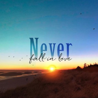 Never Fall In Love