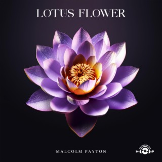 Lotus Flower