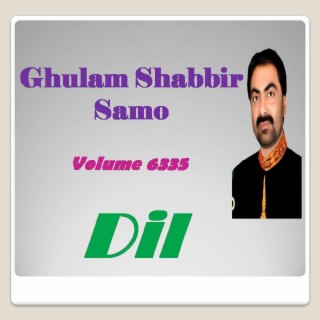 Volume 6335 DIL