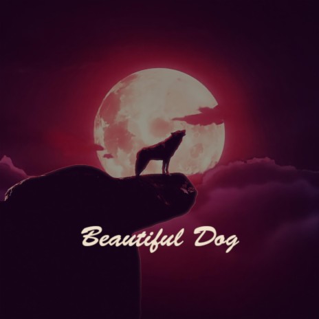 Beautiful Dog | Boomplay Music