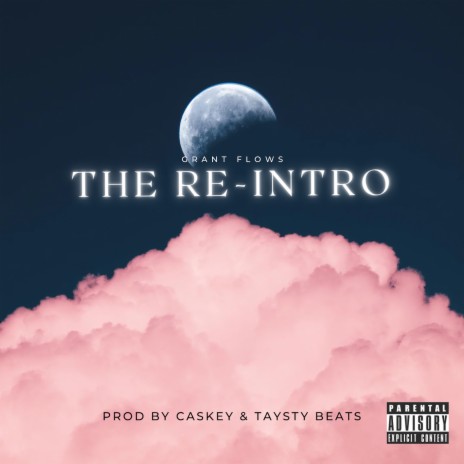 The Re-Intro | Boomplay Music