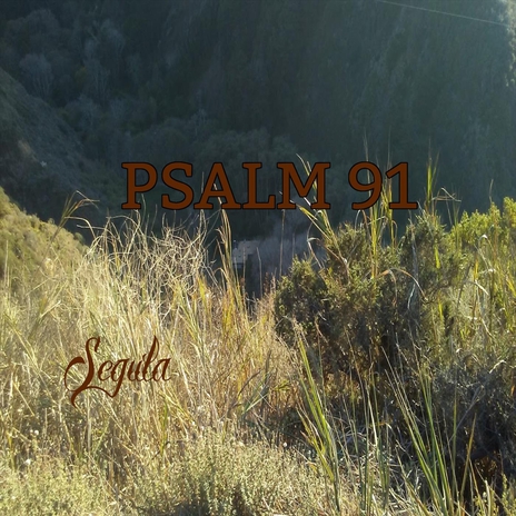 Psalm 91 | Boomplay Music