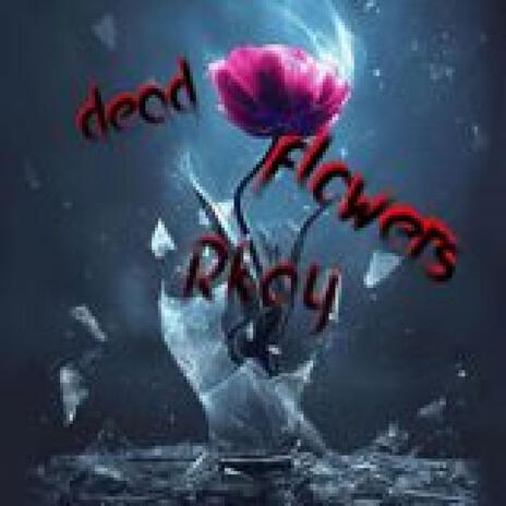 Dead Flowers | Boomplay Music