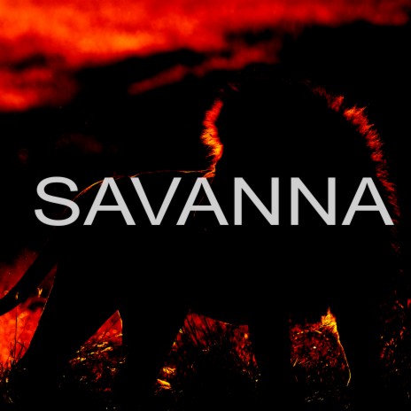 Savanna | Boomplay Music