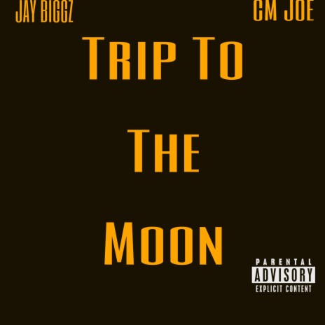 Trip To The Moon ft. CM JOe | Boomplay Music