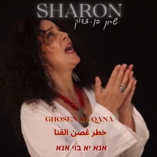 Sharon Ben-Zadok