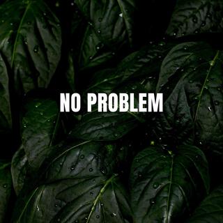 No Problem