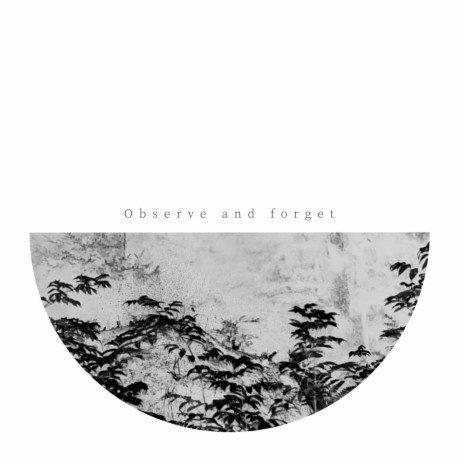Observe and Forget | Boomplay Music