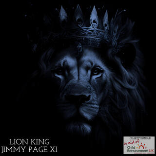 Lion King (Child Bereavement UK Charity Single)