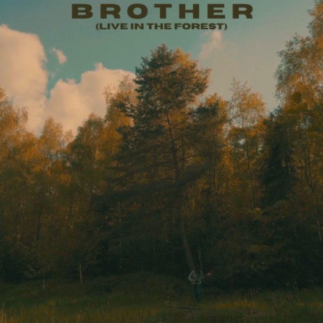 Brother (Live in the Forest) (Live) | Boomplay Music