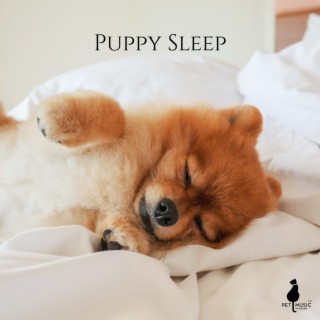 Puppy Sleep: Dog Relaxation Frequencies, Animal Healing, Hz Sleep Manifestation