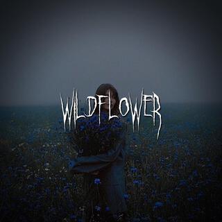 wildflower lyrics | Boomplay Music