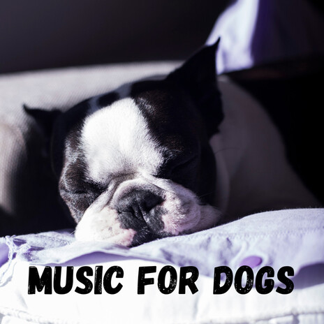 Restful Sleep ft. Music For Dogs Peace, Relaxing Puppy Music & Calm Pets Music Academy | Boomplay Music