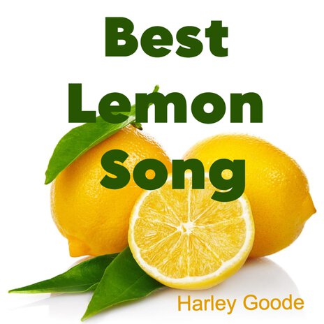 Best Lemon Song