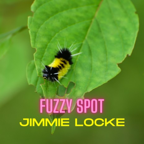 Fuzzy Spot | Boomplay Music
