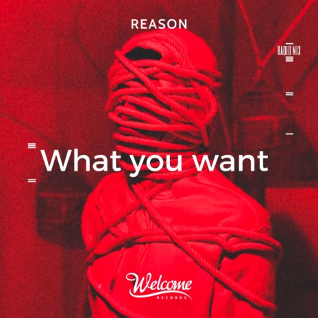 What You Want (Radio Mix) | Boomplay Music