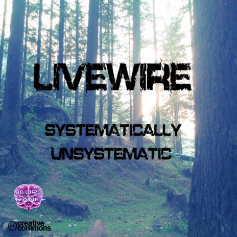 Systematically Unsystematic | Boomplay Music