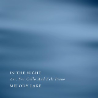 In The Night Arr. For Cello And Felt Piano