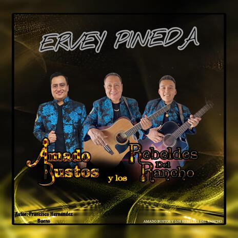 Ervey Pineda | Boomplay Music