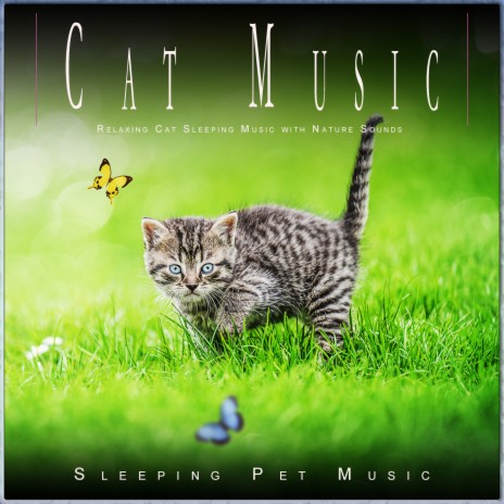 Pet Relaxation ft. Cat Music Dreams & Sleeping Pet Music | Boomplay Music