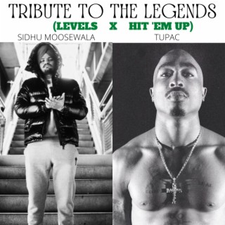 Levels x Hit 'em up (Tribute to the legends) (P11 remix)
