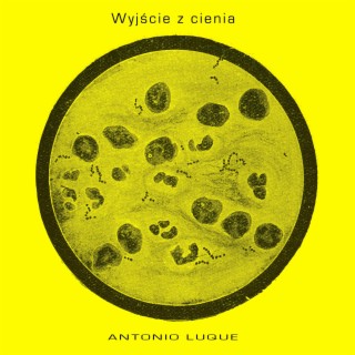 Wyjście z cienia