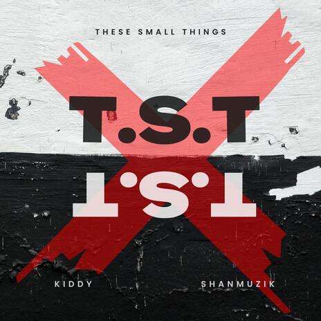 T.S.T ft. Shan Muzik | Boomplay Music