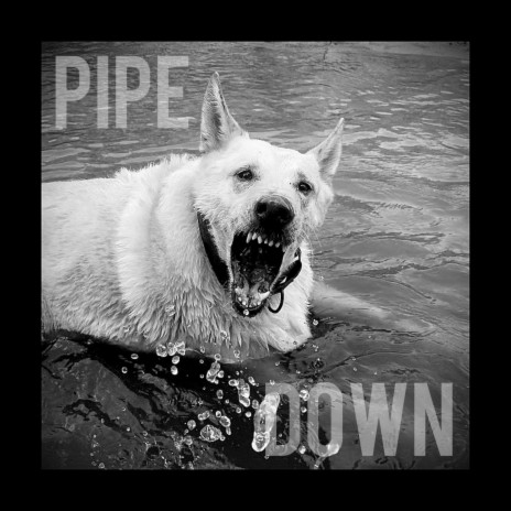 Pipe Down | Boomplay Music