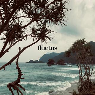 Fluctus